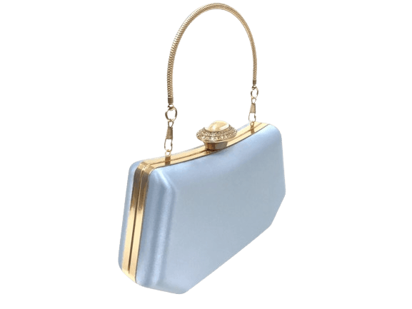 Elegant Clutch